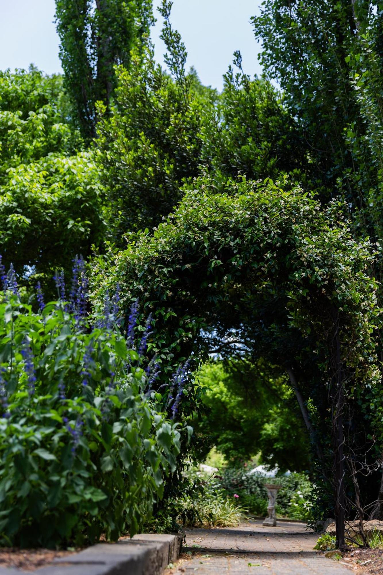 Lavender Hill Country Estate And Wedding Venue Guest House Bethlehem Exterior photo